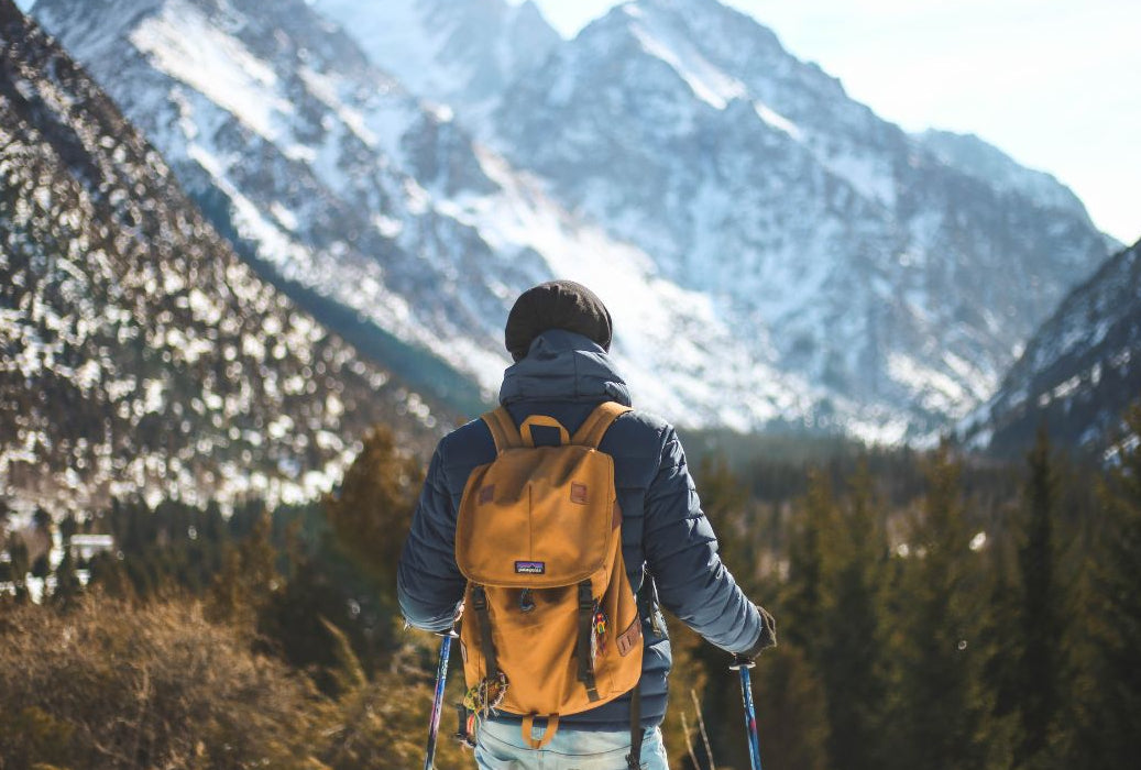 Person with a yellow backpack standing in front of snow-capped mountains